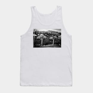 Architectural style of dragon trees Tank Top